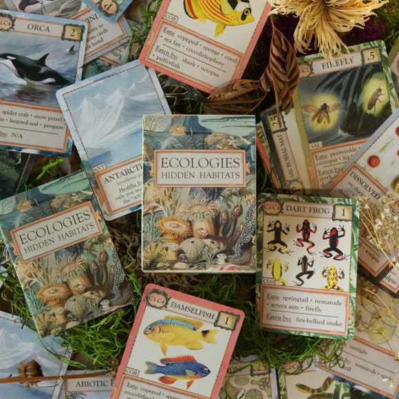 ECOLOGIES: Hidden Habitats